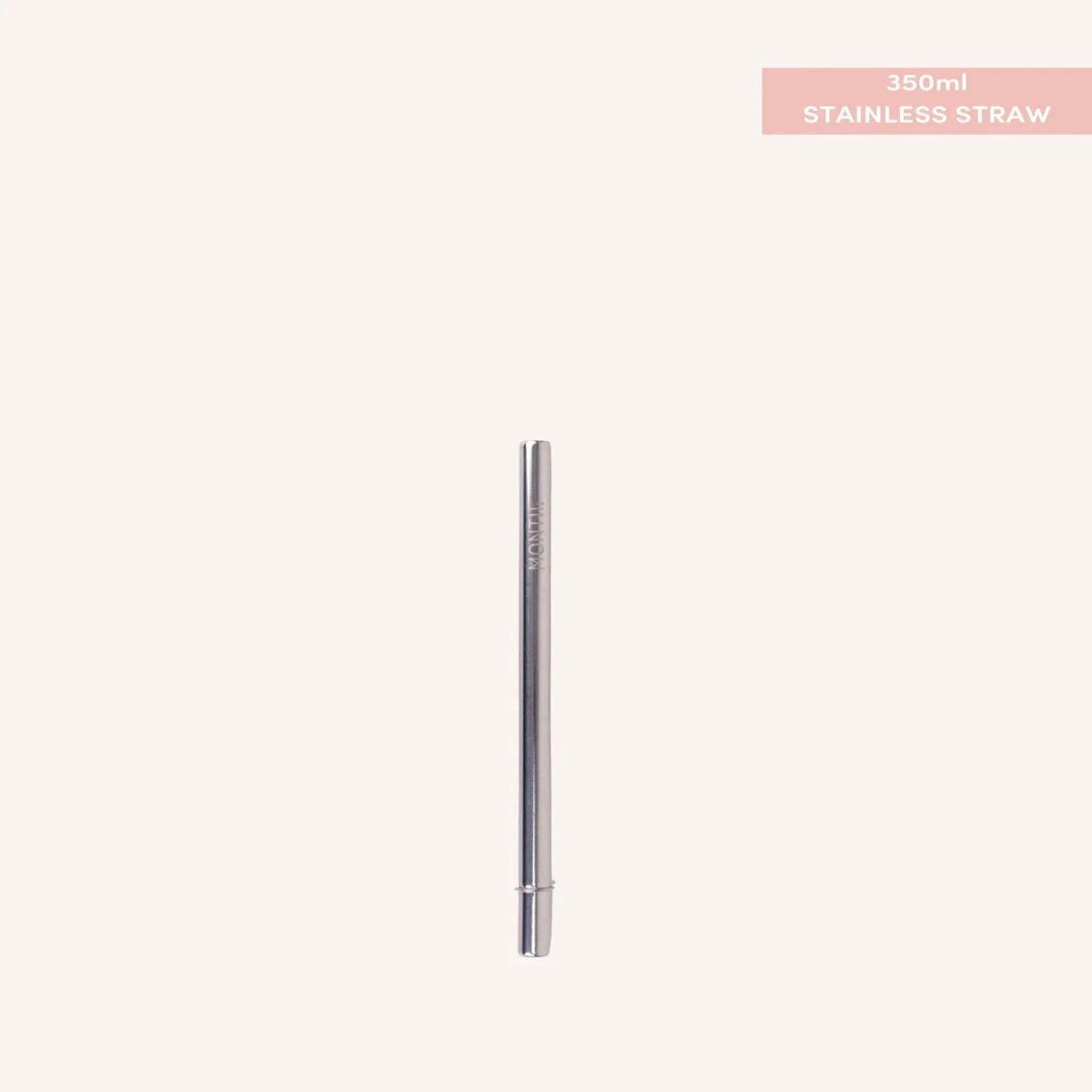 Smoothie Stainless Steel Straw