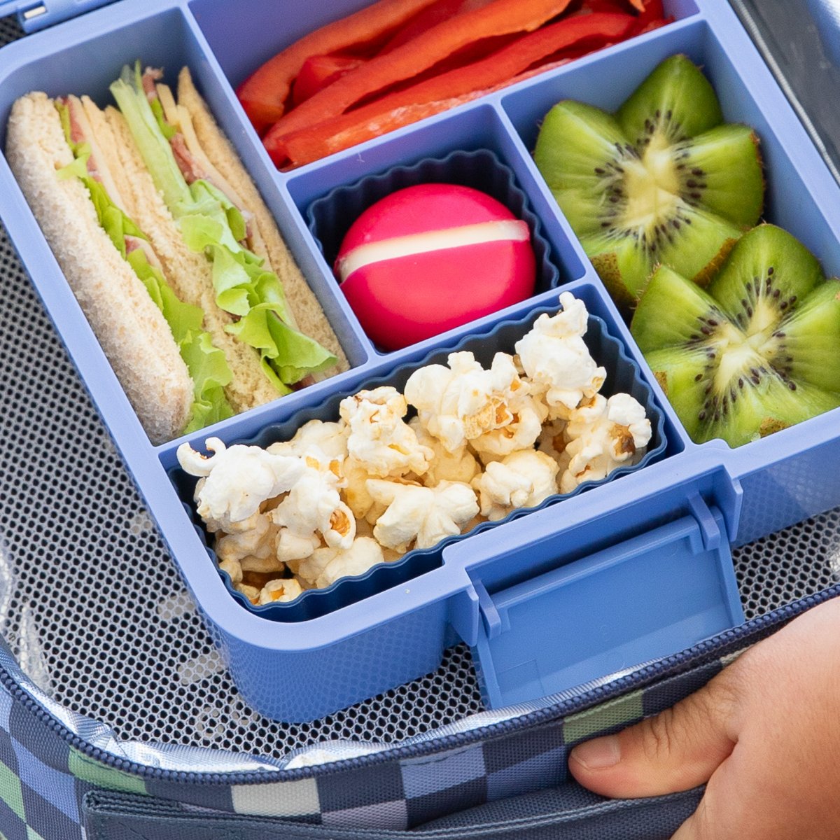 Montii | Bento Silicone Cups - Image 4